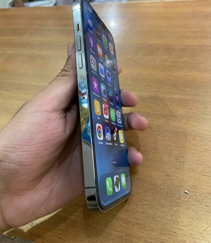 iPhone 13pro max 1