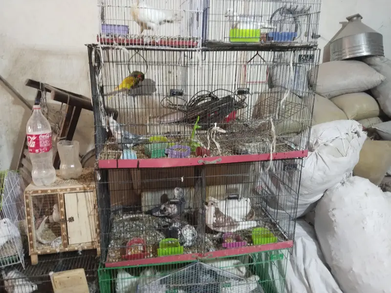 all.  set up 03206210434 rabta num — photo 2