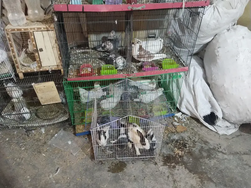 all.  set up 03206210434 rabta num — photo 3
