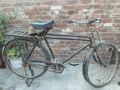 Baba cycle comfort in comfort price