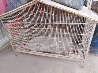 Cages 1