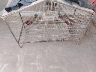 Cages 2