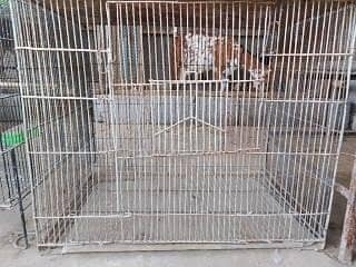 Cages 3