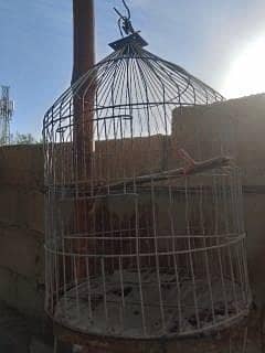 Cages 6