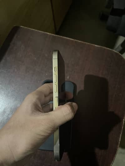 iPhone 13 Pro Max PTA 256