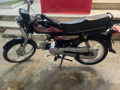 Unique UD-70 For Sale 2019 model