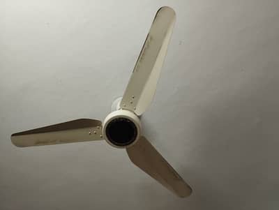 Pak Fans Ceiling Fan 56 inch - Copper
