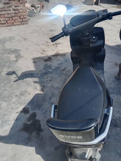 Scoty for sale
