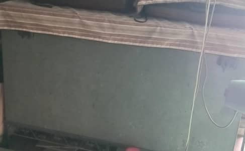 Pete for sale urgent