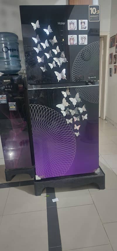 Haier HRF 3681 A (338L)