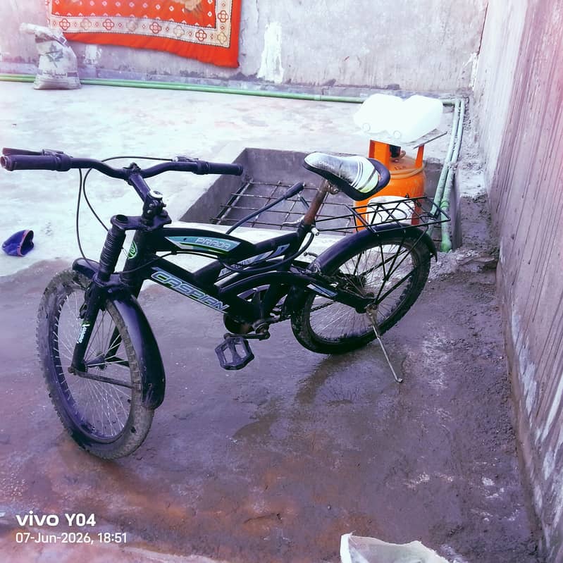 Imported cycle 4