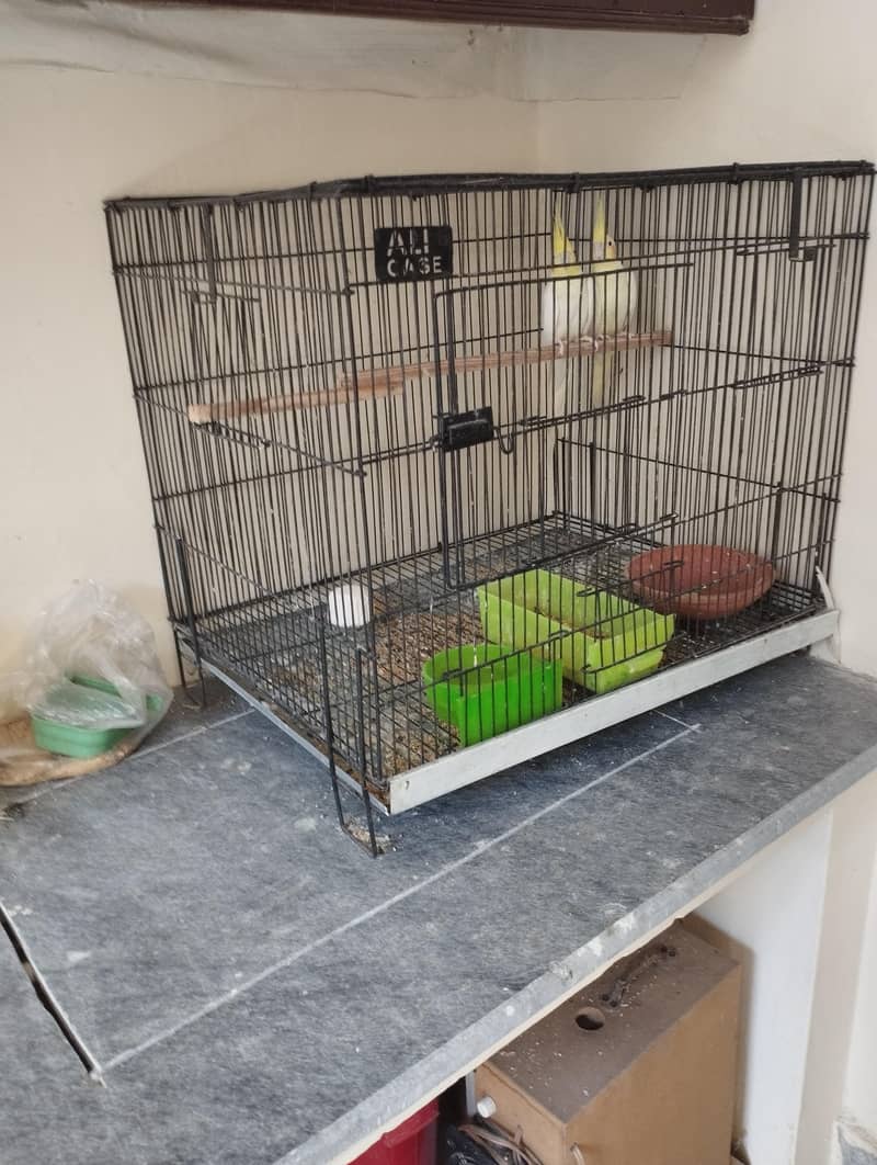 4portion cage 1