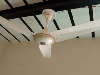 GFC ceiling fan