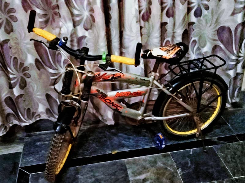 Sonic bicycle 1