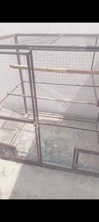 pigeon cage
