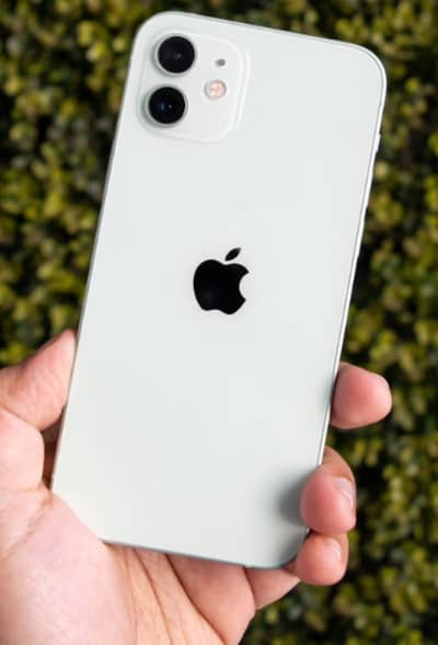 Apple iPhone 12