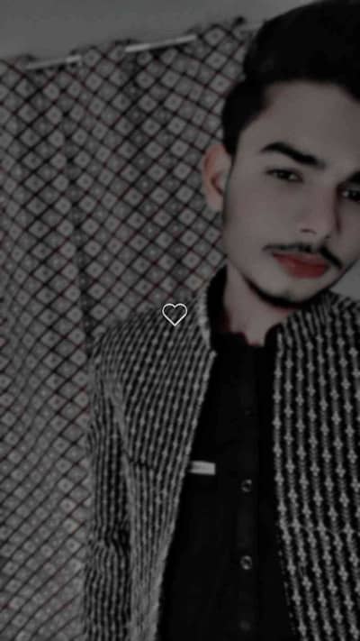 ALI JANI