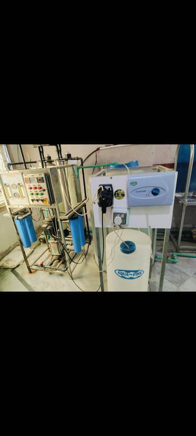 water plant