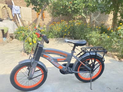 Bicycle for 10/12 years