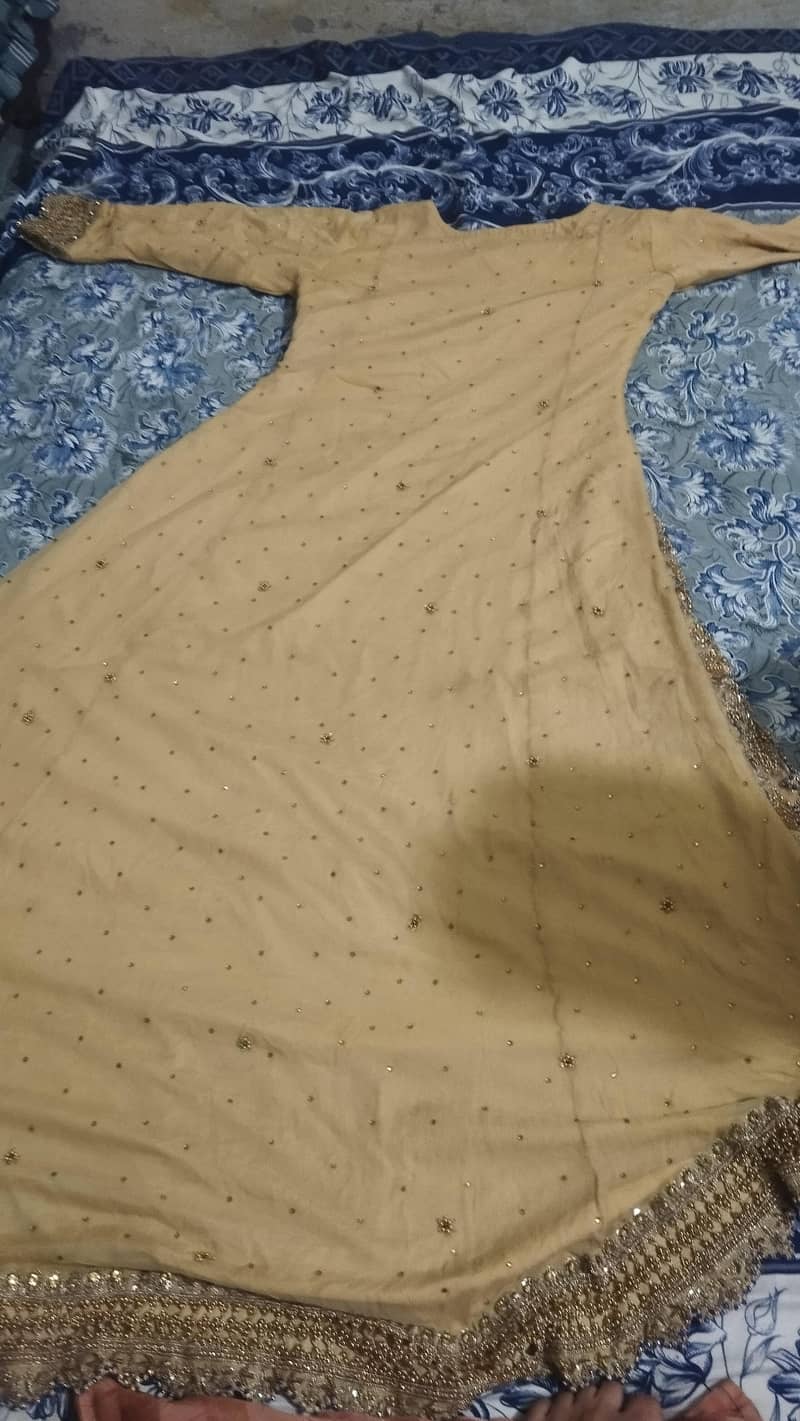 Long Mexi Tail shape 3