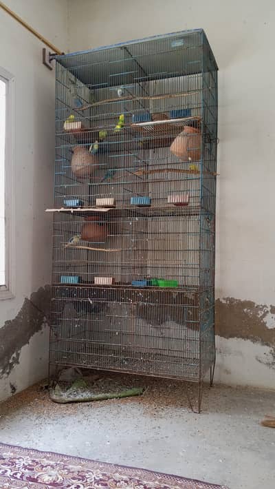 ma sale kr rha h cage bhi