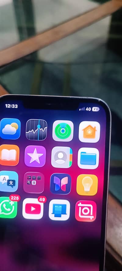 Apple iPhone 12 Pro Max