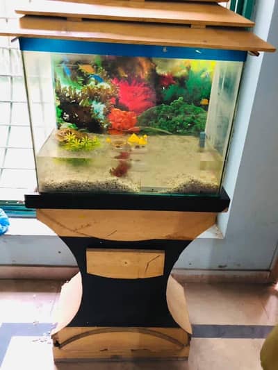 Aquarium Tank best quality