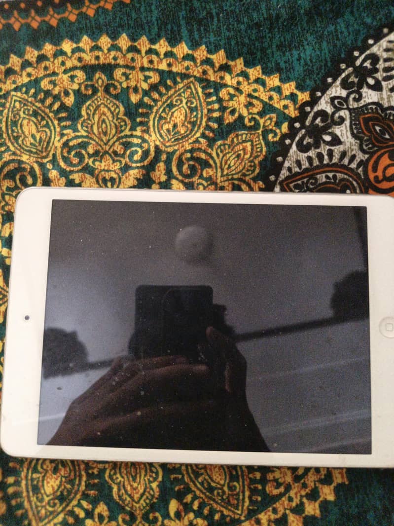 ipad mini2 0