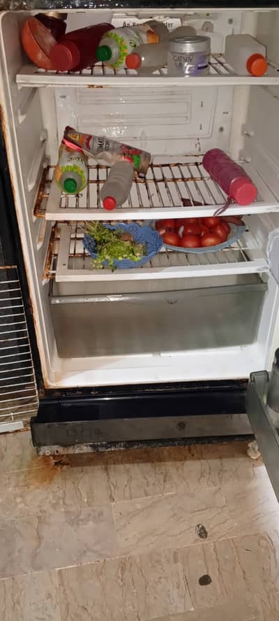 PEL Large size refrigerator(03122322822)