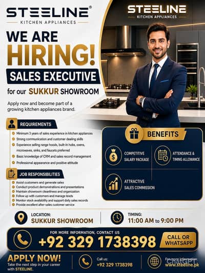 Sales Executive