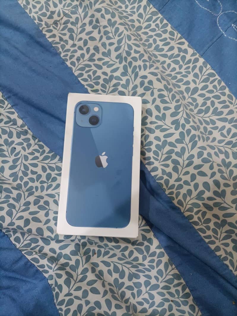 Apple iPhone 13 0
