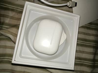apple earbuds