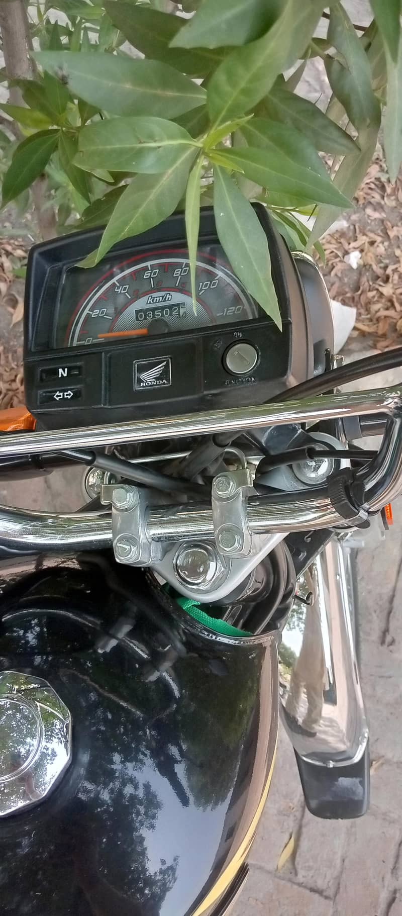 CD 70 2026 Model 0