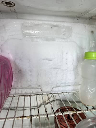 pell refrigerator