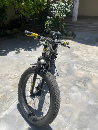 Fat bike