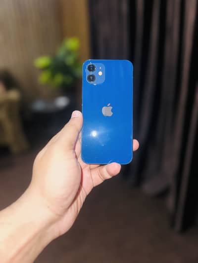 Iphone 12 128 gb PTA Approved