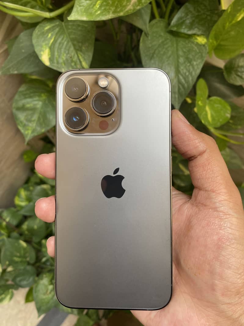 Apple iPhone 13 Pro 1
