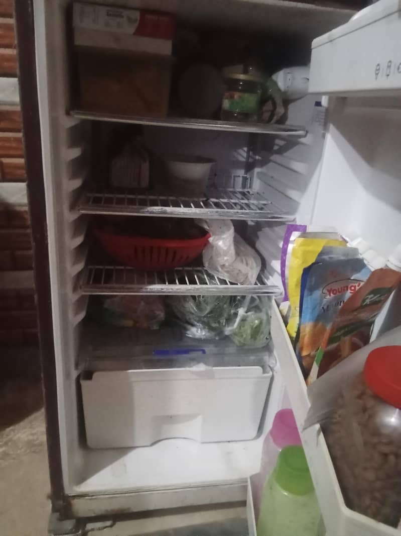 orient fridge 1