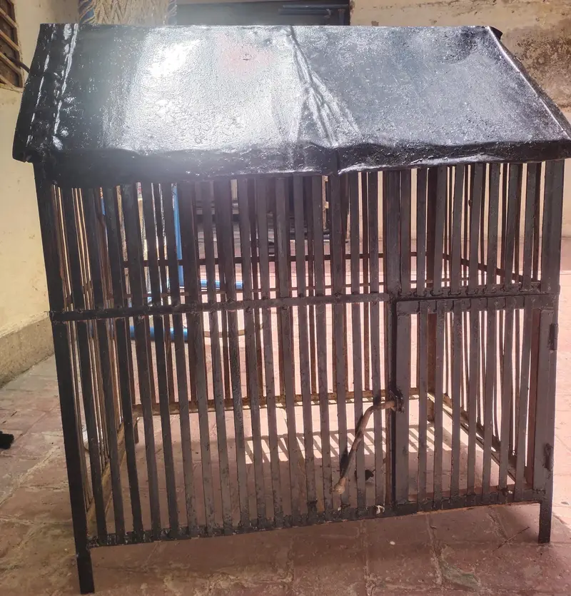iron cage
