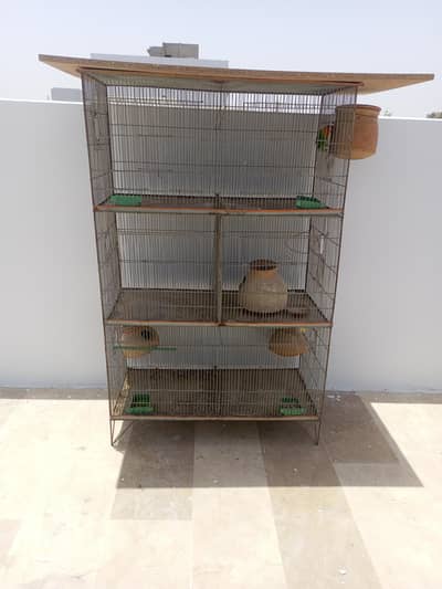 pingra/cage 6 portion with birds