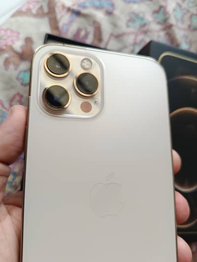 iPhone 12 Pro Max jv