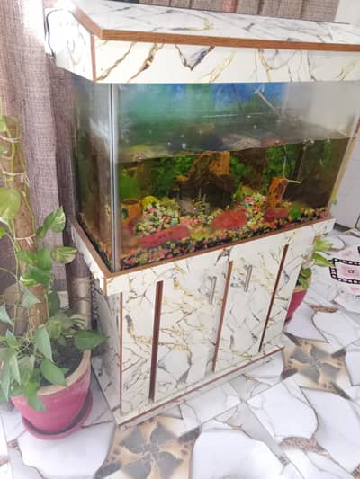 fish aquarium available for sale 10/10 condition comes with 2 shelves