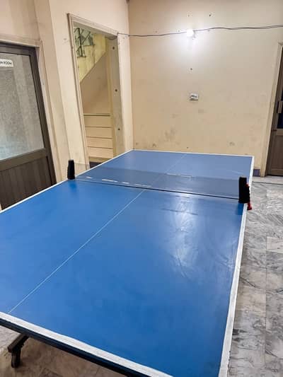 New Table Tennis