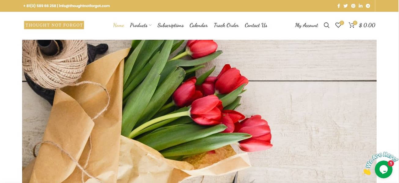 Website Developer | WordPress Developer | Shopify Store Expert | SEO 12