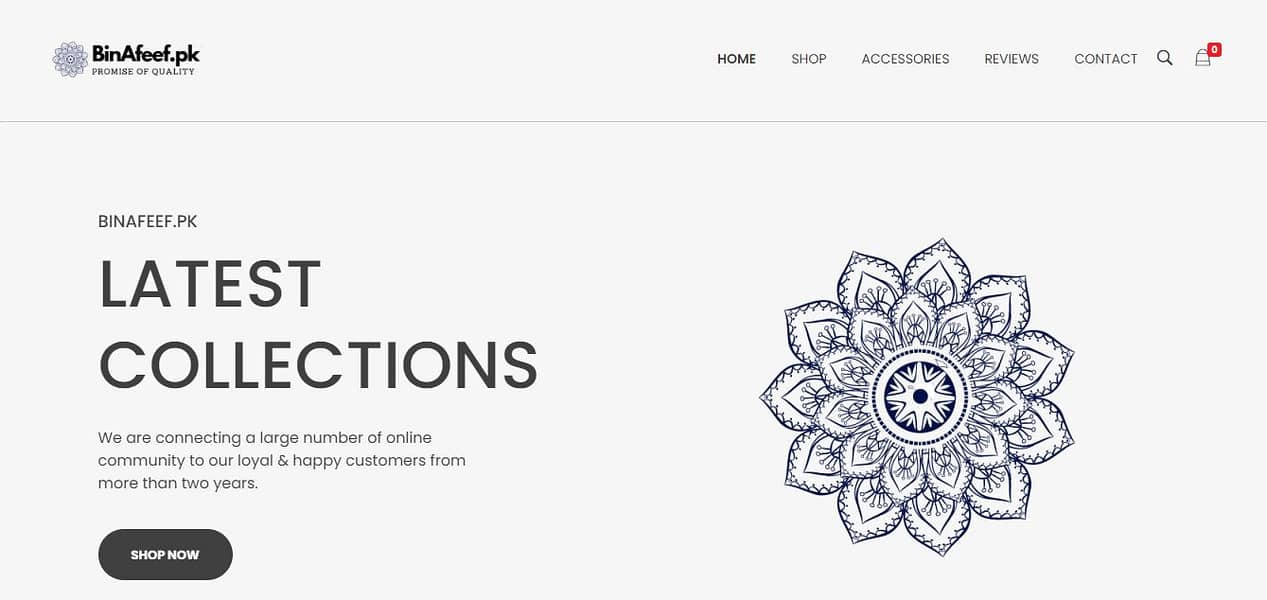 Website Developer | WordPress Developer | Shopify Store Expert | SEO 18