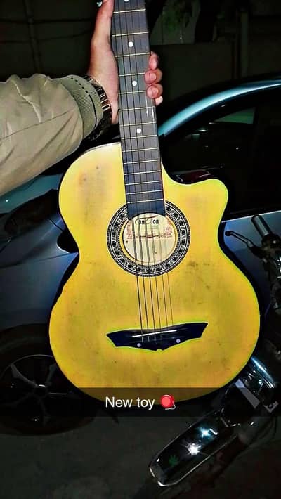 Guitar