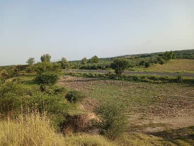 200 kanal agriculture land for sale  Nella dulla