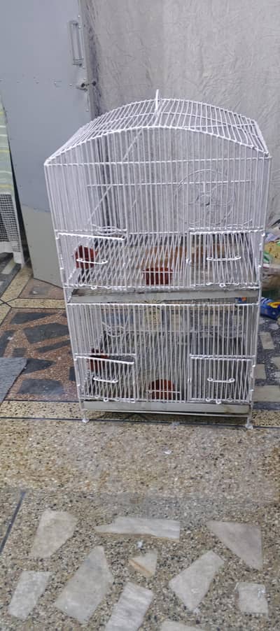 cage for birds