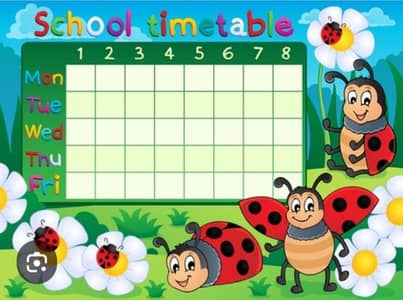 School charts and projects