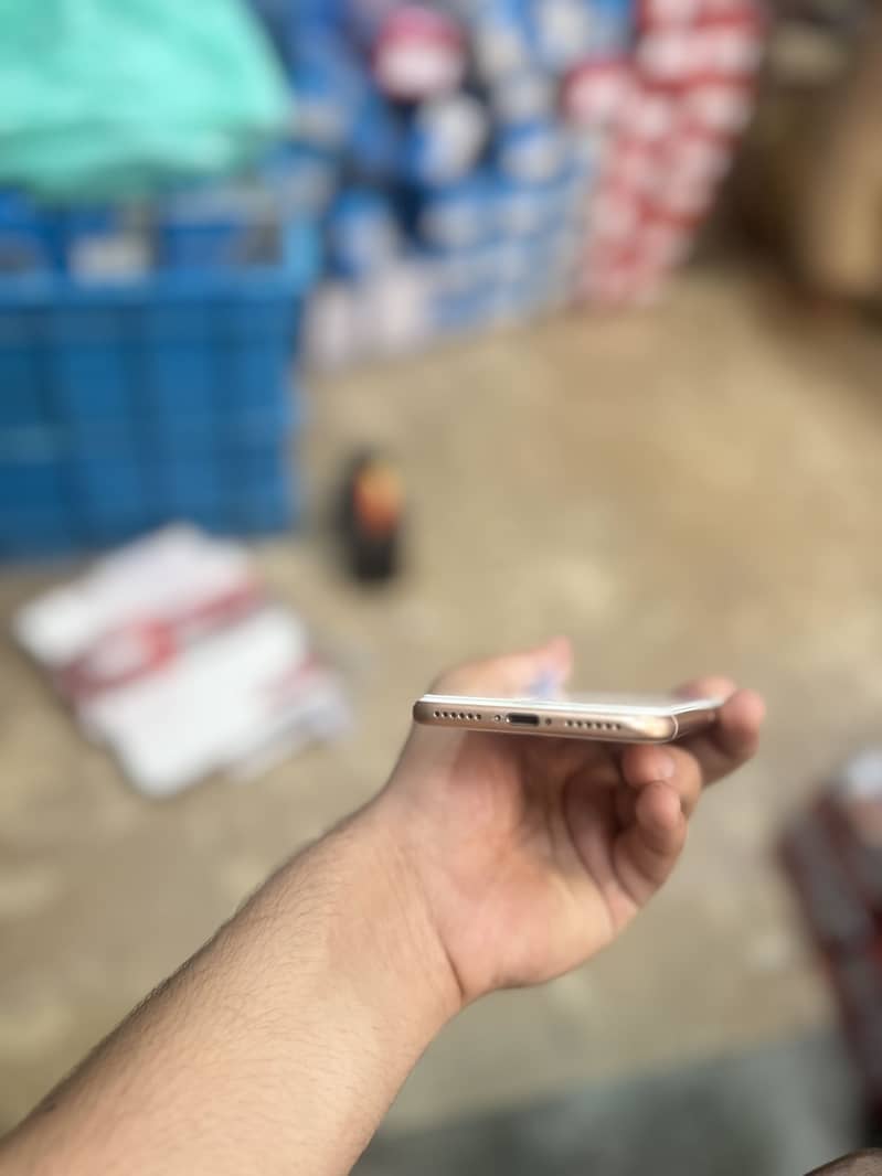 Apple iPhone 8 0
